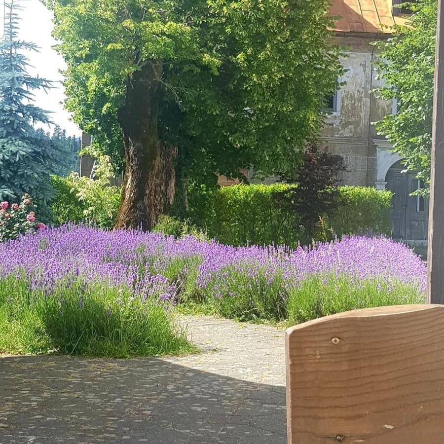 Fuzinarska Kuca Hotel Fužine Kültér fotó